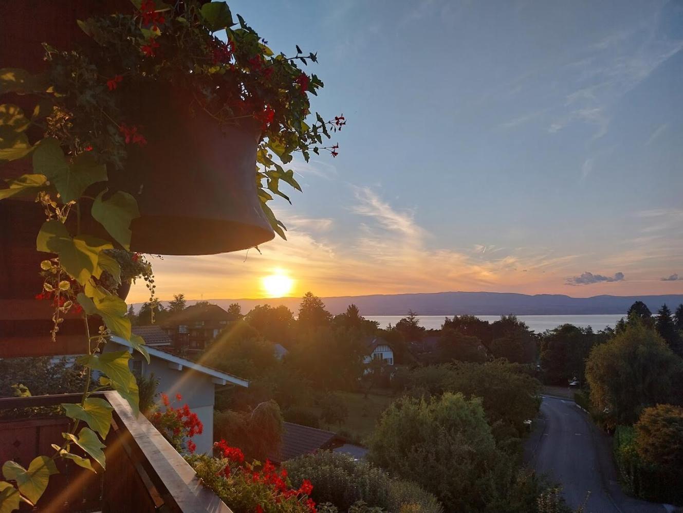 Le Chalet Des 3 Ours Neuvecelle Eksteriør billede
