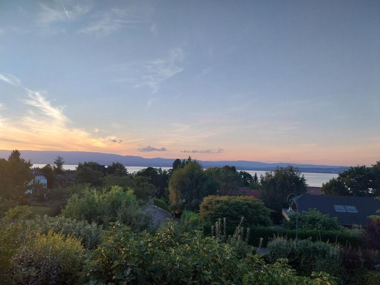 Le Chalet Des 3 Ours Neuvecelle Eksteriør billede